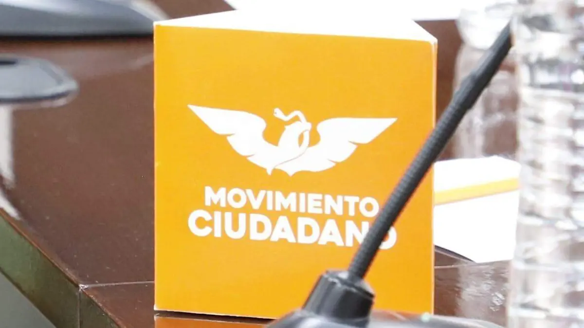 MOVIMIENTO CIUDADANO F BEG (1)